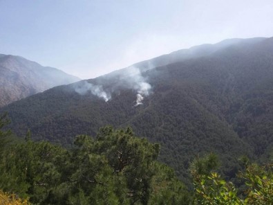 Teröristlerin Çıkardığı Orman Yangını Söndürüldü