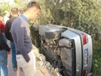 ZEYTİN AĞACI - Virajı Alamayan Otomobil Bahçeye Girdi