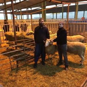 Adakçılar Haftanın 7 Günü Modern Hayvan Pazarında