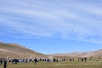 TAŞIMALI EĞİTİM - Çatak'ta Uçurtma Şenliği