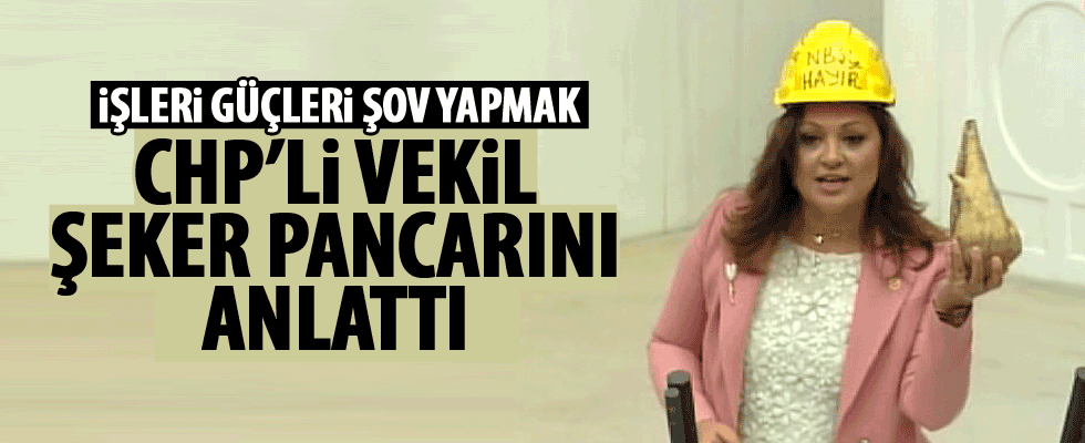 CHP'li vekilin kürsü şovu