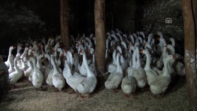 Fırın İşçiliğinden Kaz Üreticiliğine