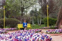 BOTANİK BAHÇESİ - Gaziantep Büyükşehir Belediyesi 4 Milyon Mevsimlik Çiçek Dikti