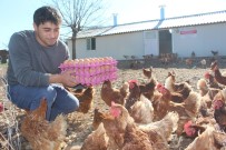 İBRAHIM DEMIR - Genç Çiftçi Proje Başvuruları Başlıyor