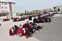 VEDAT YıLMAZ - Kız Anadolu İmam Hatip Lisesinde Okuma Etkinliği