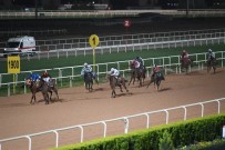 TÜRKIYE JOKEY KULÜBÜ - Mersin Büyükşehir Belediye Başkanlığı Koşusu'nu 'Duquan' Kazandı