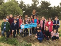 YAĞCıLAR - Minikler Baharın Coşkusunu Fidan Dikerek Yaşadı