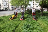 KARABAĞ - Bayraklı'da Park Ve Bahçelere Bahar Temizliği
