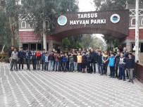 HAYVANAT BAHÇESİ - Çocuk Polisi Futbol Turnuvası Projesi