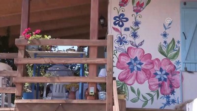 Ege'de Turizme 'Şifalı Ot' Katkısı