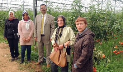 Girişimci Çiftçi Hanımlardan İslahiye MYO Ve Serasına Ziyaret