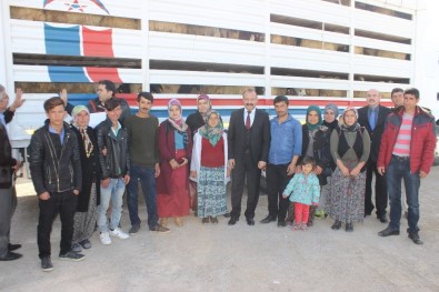 Karaman'da Genç Çiftçiler, Koyunlarını Teslim Aldı