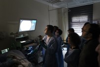HAKAN GÜNDÜZ - Marmara Üniversitesi 'Endoskopik Ultrason Ve İleri Endoskopi Günleri' Başladı