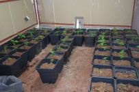 UYUŞTURUCU BARONU - Uyuşturucu Baronu Met Kanani'nin Şebekesine İkinci Dalga Operasyon Açıklaması 2 Gözaltı