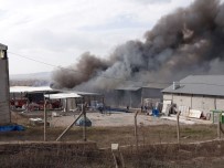 VERGİ REKORTMENLERİ - Uşak'ta Aynı Fabrika 6 Yılda Üçüncü Kez Yandı