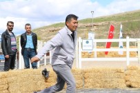 FARUK ÜLKER - 6. Fetih Kupası Geleneksel Türk Okçuluğu Başladı
