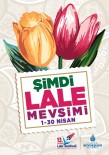LALE FESTİVALİ - İstanbul'da 'Şimdi Lale Mevsimi'