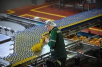 BİLİM SANAYİ VE TEKNOLOJİ BAKANLIĞI - Uludağ İçecek'ten Türkiye'de Bir İlk