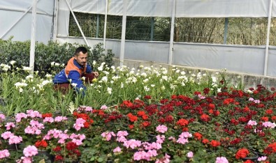 21 Bin 765 Bitki Ve Çiçek Gün Sayıyor