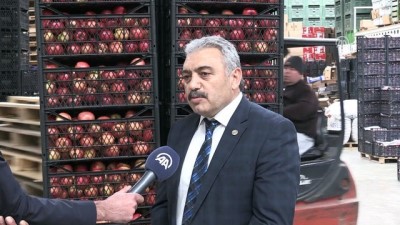 Karaman'da Elma Üretimi İhracat Odaklı Büyüyor