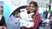 VAN YÜZÜNCÜ YıL ÜNIVERSITESI - 'Van Kedisi Güzellik Yarışması' Yapıldı