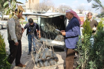 Baharın Gelmesiyle Vatandaşlar Fidanlıklara Akın Etti