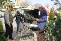 MAHMUT YıLMAZ - Baharın Gelmesiyle Vatandaşlar Fidanlıklara Akın Etti