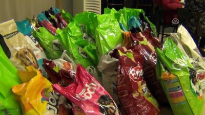 Sokak Hayvanları İçin Zumba Yaptılar