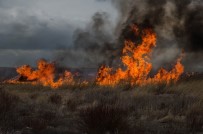 BEYŞEHIR GÖLÜ - Beyşehir'de Sazlık Yangını