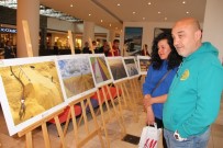 BODRUM KAYMAKAMI - Dereceye Giren Fotoğraflar Bodrum'da Sergilendi