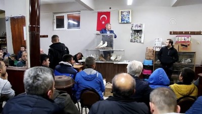 'Güvercin Mezatı'nın Geliri Mehmetçik'e