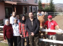 ATLANTIS - (Özel) Otizm Tanısı Koyulan 4.5 Yaşındaki Iraklı, 2 Bin 100 Km Uzakta Kocaeli'de Sağlığına Kavuştu