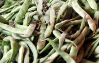 ZAM ŞAMPİYONU - Şubat Ayının Zam Şampiyonu O