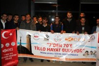 TİLLO - 200 vatandaş sinemayla buluştu