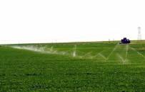 ELEKTRİK BORCU - Dicle Elektrik'ten Borçlu Çiftçilere Blokaj Uyarısı