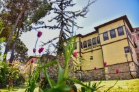 KADıLAR - 'Ünye Yaşayan Kültürel Miras Müzesi' Avrupa Müze Akademisi Üyesi Oldu