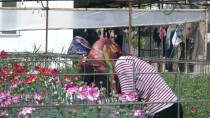 OSMAN BAĞDATLıOĞLU - 48 Ülkenin Kadınına 80 Milyon Dal Türk Çiçeği
