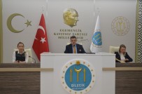 PELITÖZÜ - Bilecik Belediye Meclisi Mart Ayı Birleşimi Yapıldı