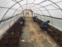 Edirne Çiçeklerle Renklenecek