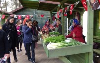 KADINLAR GÜNÜ - Organik Köyde 'Kanser Farkındalık Çalışması'