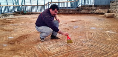 Üzeri Örtülen Mozaik Yeniden Gün Yüzüne Çıktı