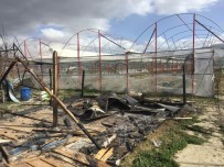 Antalya'da 8 Baraka Ev Yakıldı, Seralara Zarar Verildi