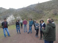 DOĞANLı - Öğrenciler Doğanlı Anıt Alanını Gezdi