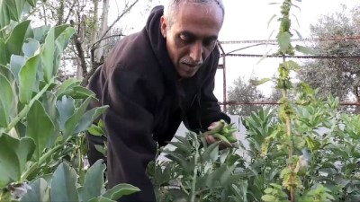 Yerleşim Birimi Ve Beton Bariyerler Kıskacında Açık Hapishane Hayatı