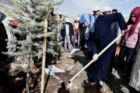 Kahramanmaraş'ta Şehitler Adına Fidan Dikildi