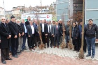 HAYRETTİN BASKIN - Keban'da Çiftçiye 10 Bin Adet Ceviz Ve Badem Fidanı