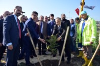 ALI PARTAL - Silivri'de Ölen Emniyet Müdürü Adına 249 Adet Ağaç Dikildi