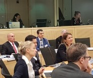 RADYO VE TELEVIZYON ÜST KURULU - Yapay Zeka Ve İnsan Hakları Uzmanlar Komitesi Toplandı