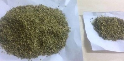 2 Şahsın Üzerinde Bonzai Ve Esrar Yakalandı