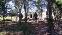 ÖZGÜR SURİYE - Afrin'de Teröristlere Ait Yeni Tüneller Bulundu